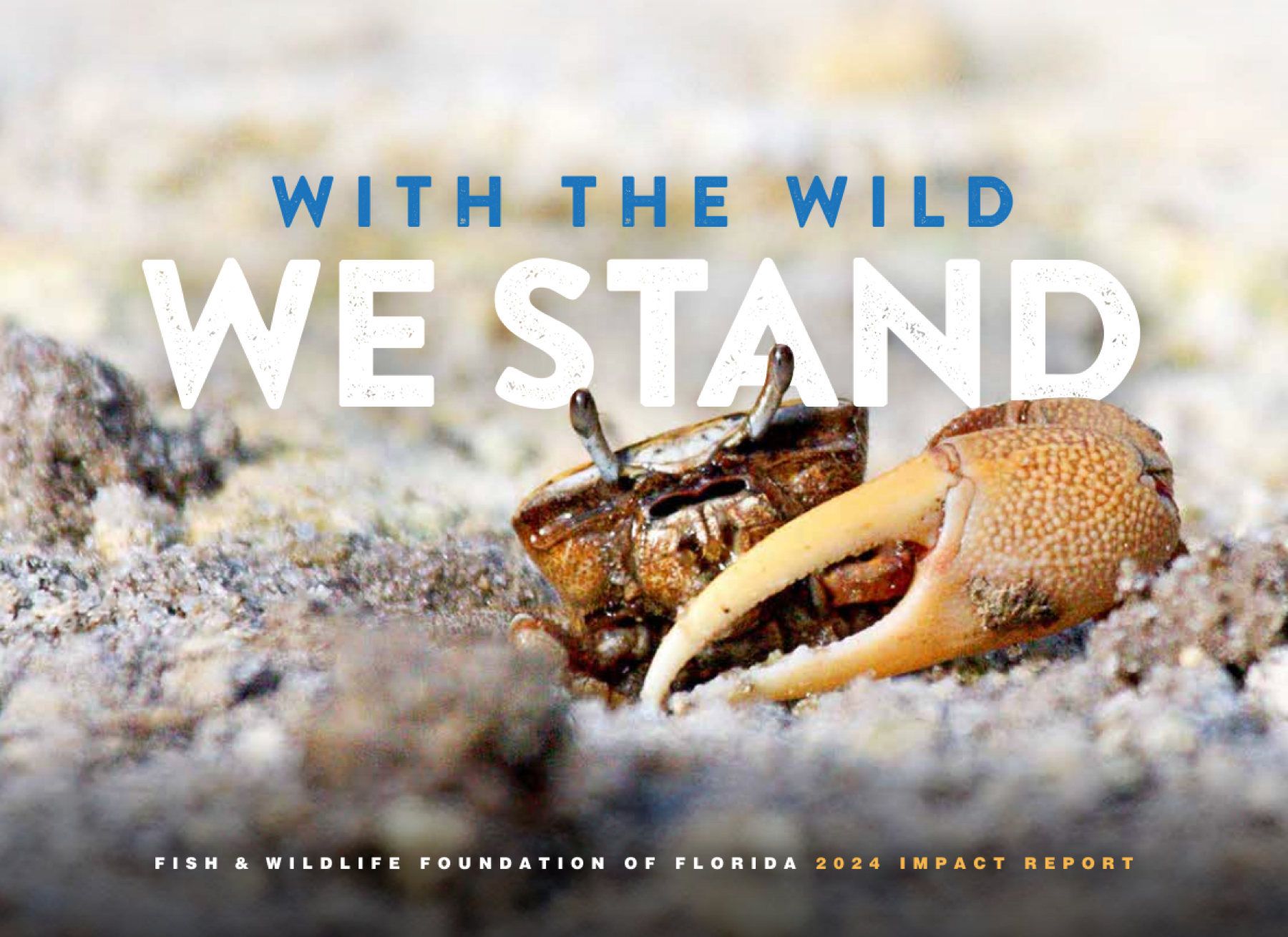 2024 Fish and Wildlife Foundation of Florida annual impact report cover