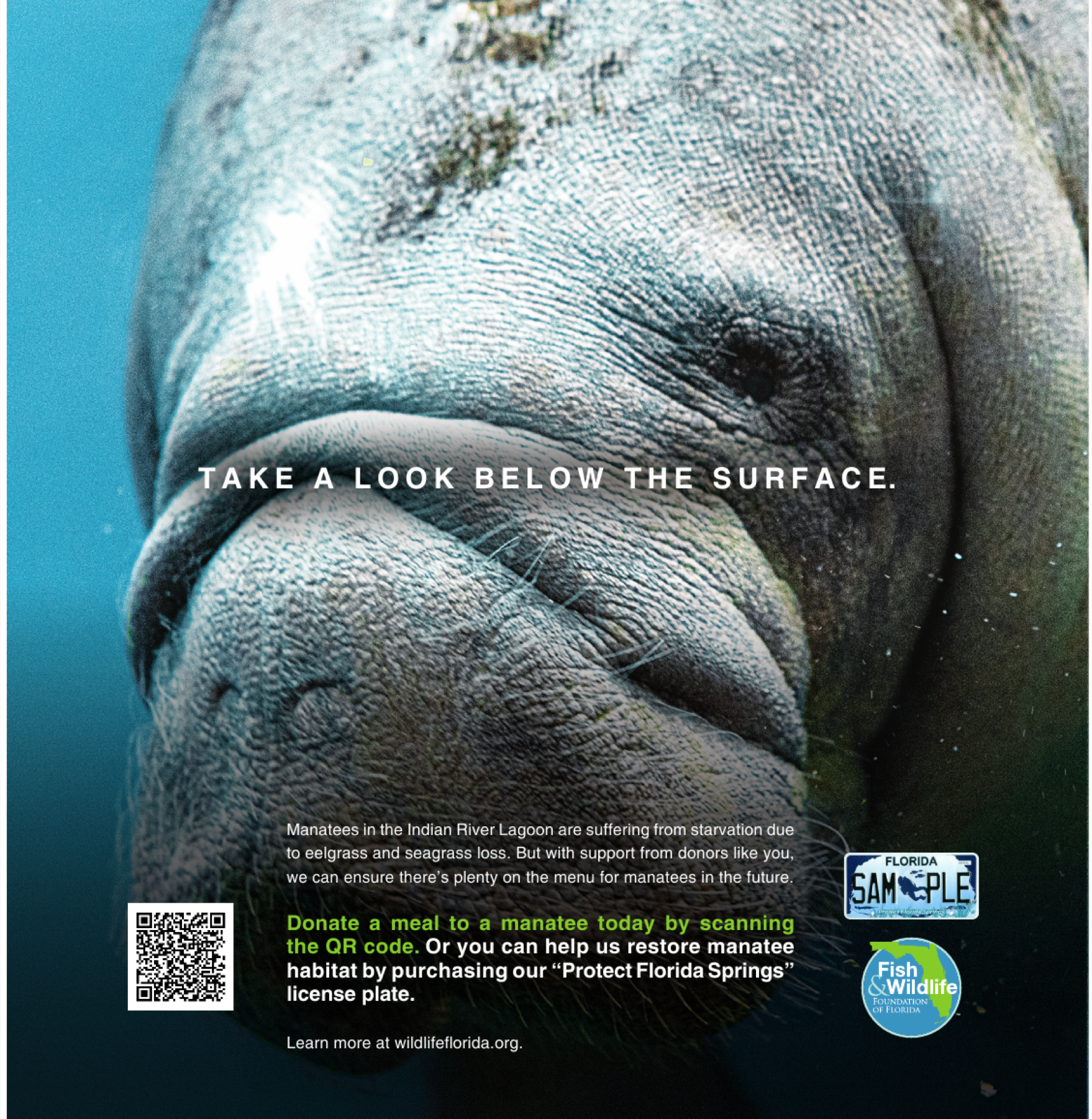 Manatee campaign ad with the headline Take a look below the surface